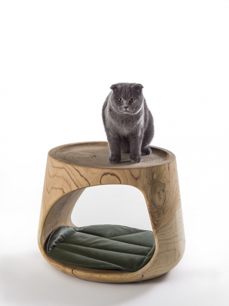 Geppo-Pet-Riva-1920-Marco- Baxadonne (17)