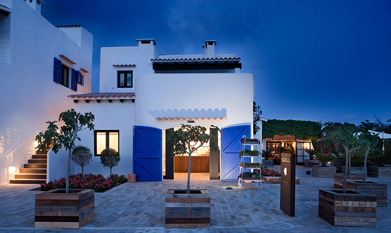 Paraíso-de-los-Pinos-Formentera (9)