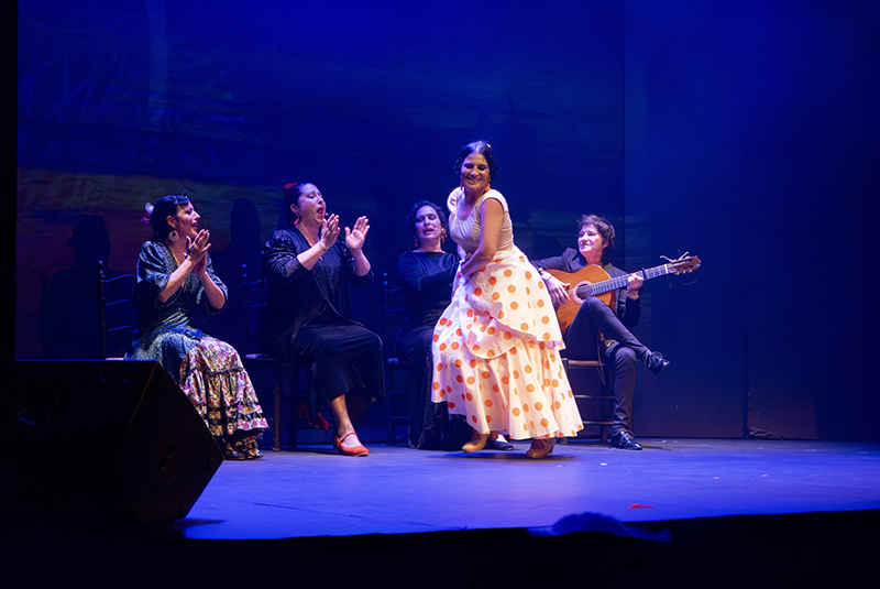 teatro-flamenco-dia-mujer